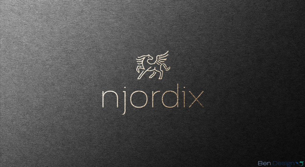 Njordix Logodesign und Produktwerbung